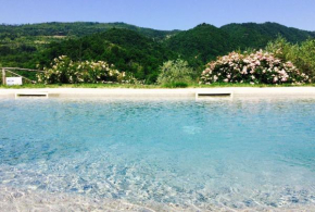 AGRITURISMO PODERE LE PIALLE Pontassieve